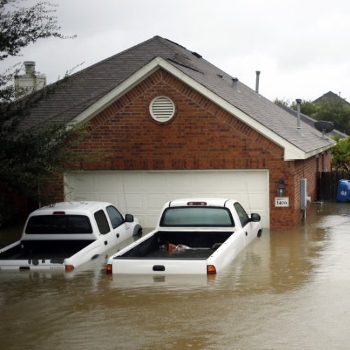 Hurricane Harvey Assistance Category